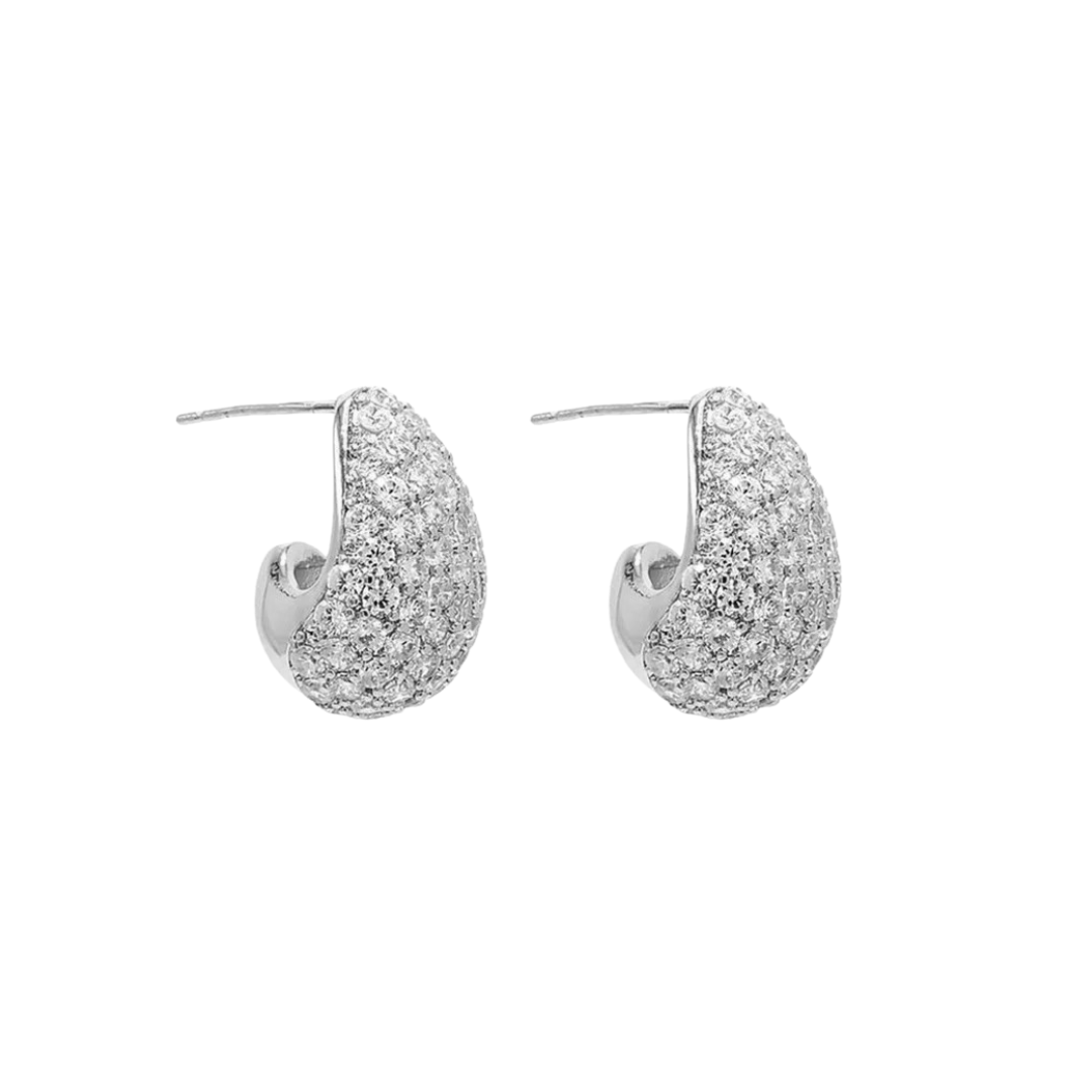 BOTA EARRINGS - SILVER